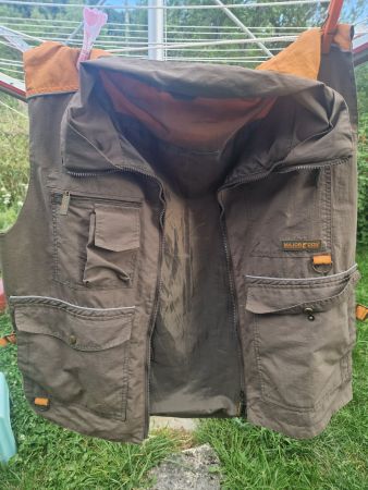 Gilet cynophile education chien