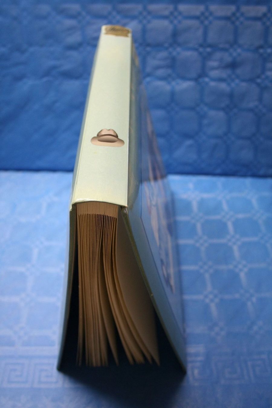 Alben: Fotoalbum "Cappy", Henzo – Neu (gemäss Beschreibung) aus Wettingen von zibi137 1
