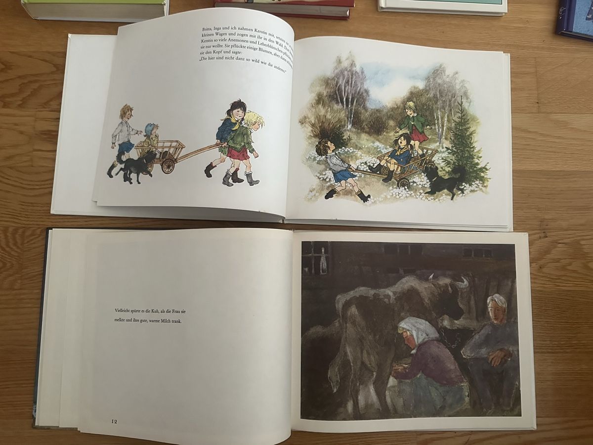 Bücher: Astrid Lindgren Büchersammlung – Gebraucht aus Affoltern am Albis von Sveta75 2