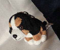 Schlüsselanhänger Berner sennenhund siehe Foto