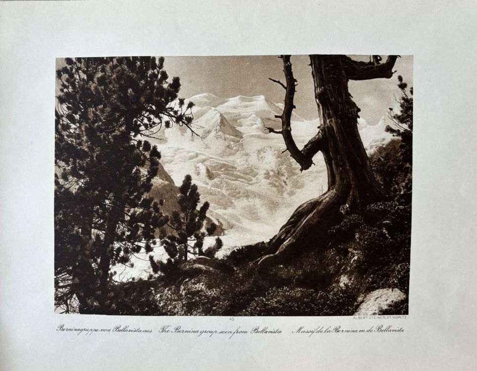 Vintage Albert Steiner, Berninagruppe / O.Rutz, Piz Cambrena (Gebraucht ...