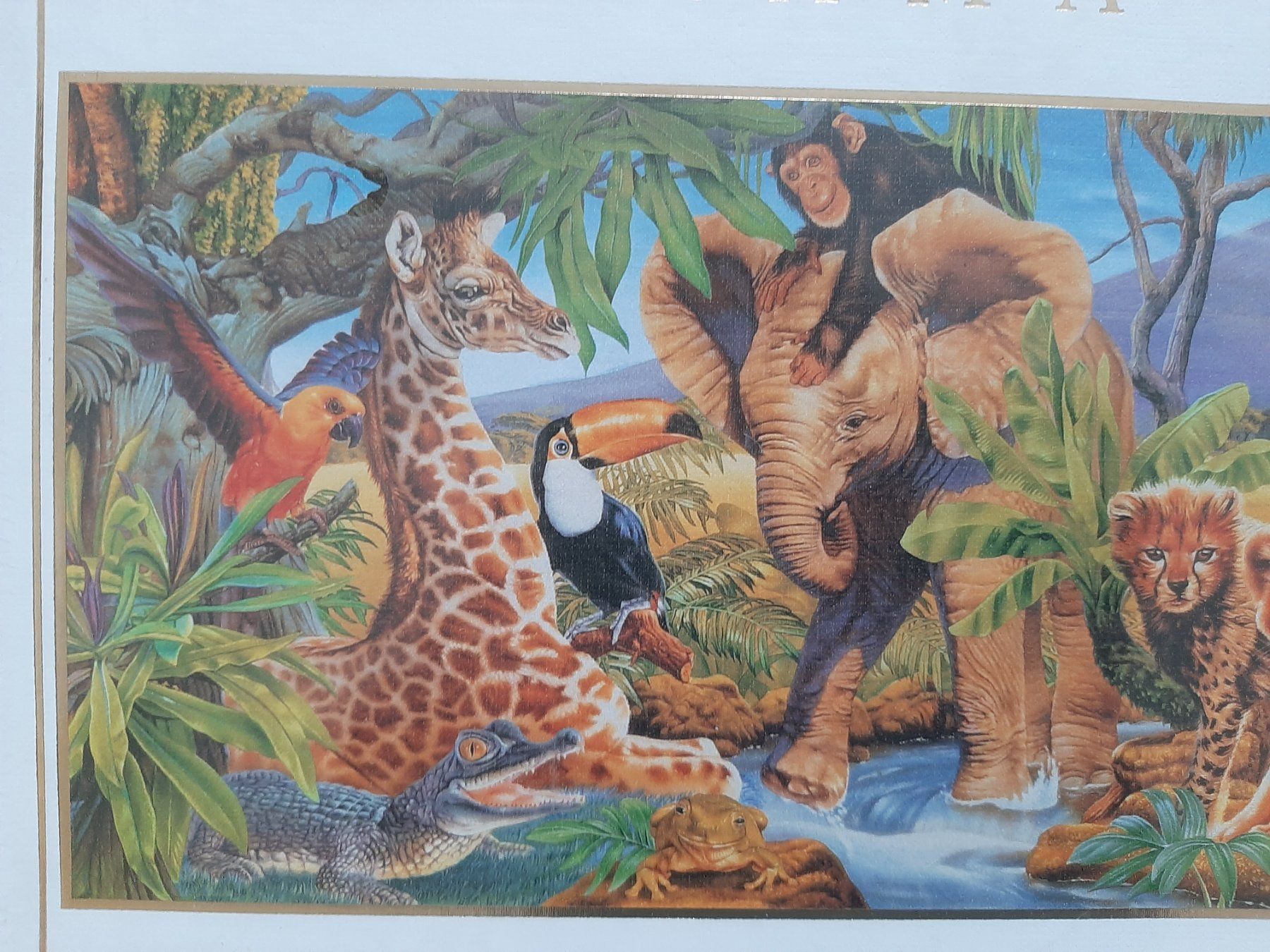 Puzzle: Puzzle Tiere 1000 – Nuovo e nell'imballaggio originale da Zürich venduto da Mr.Dachboden 1