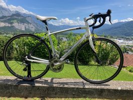 Rennvelo Specialized