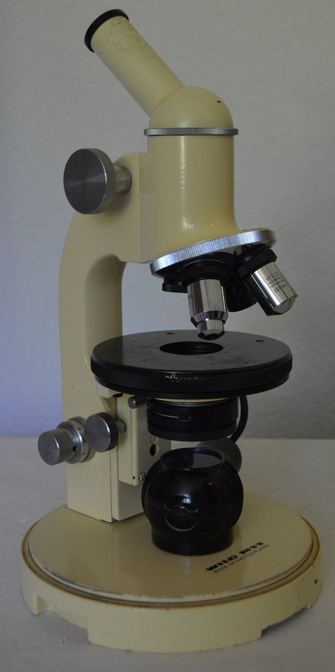 Wild Microscopi: Wild Heerbrugg M11 Mikroskop  / microscope – Usato da Collonges venduto da arashee 4