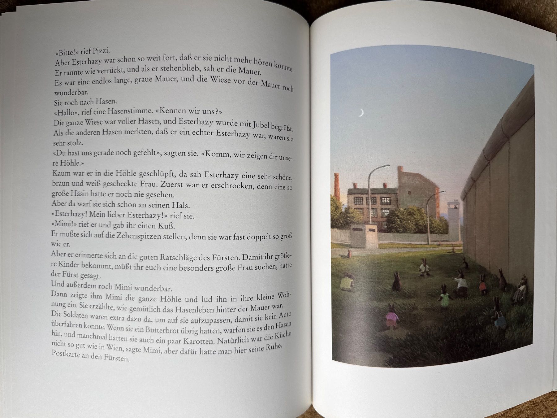 Libri: Esterhazy -Eine Hasengeschichte - Irene Dische – Usato da Aarau venduto da Kilauea 6