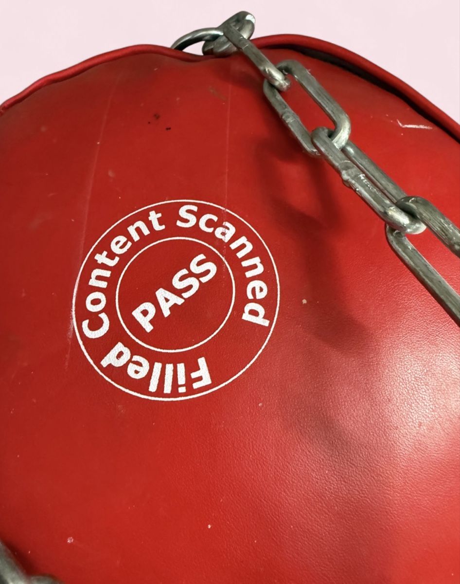 Powerzone Sacs de frappe: Boxsack – D'occasion à Niederwangen BE par by_nisrin 2