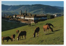 EINSIEDELN Pferde-Weide des Klosters