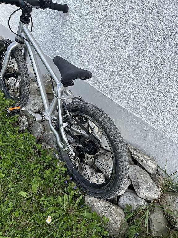 Biciclette: Early Rider 16' Kindervelo – Usato da Wildberg venduto da zralous 2