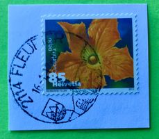 Nr.1376 Dauermarken Gemüseblüten 2011 mit Stempelt Zucchini
