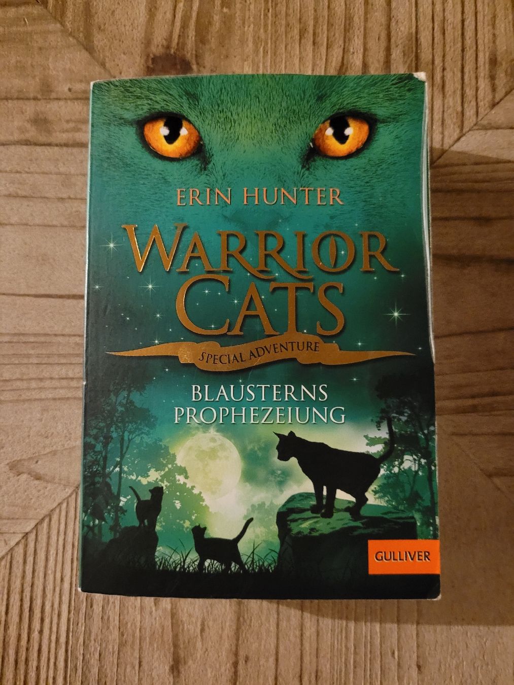 Libri: Warrior Cats – Usato da Perlen venduto da Safari_23