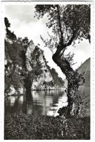 AK Rocco di Gandria, Lago di Lugano, 1964, selten