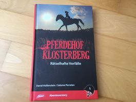 Pferdehof Klosterberg Rätselhafte Vorfälle  -  Jugendbuch