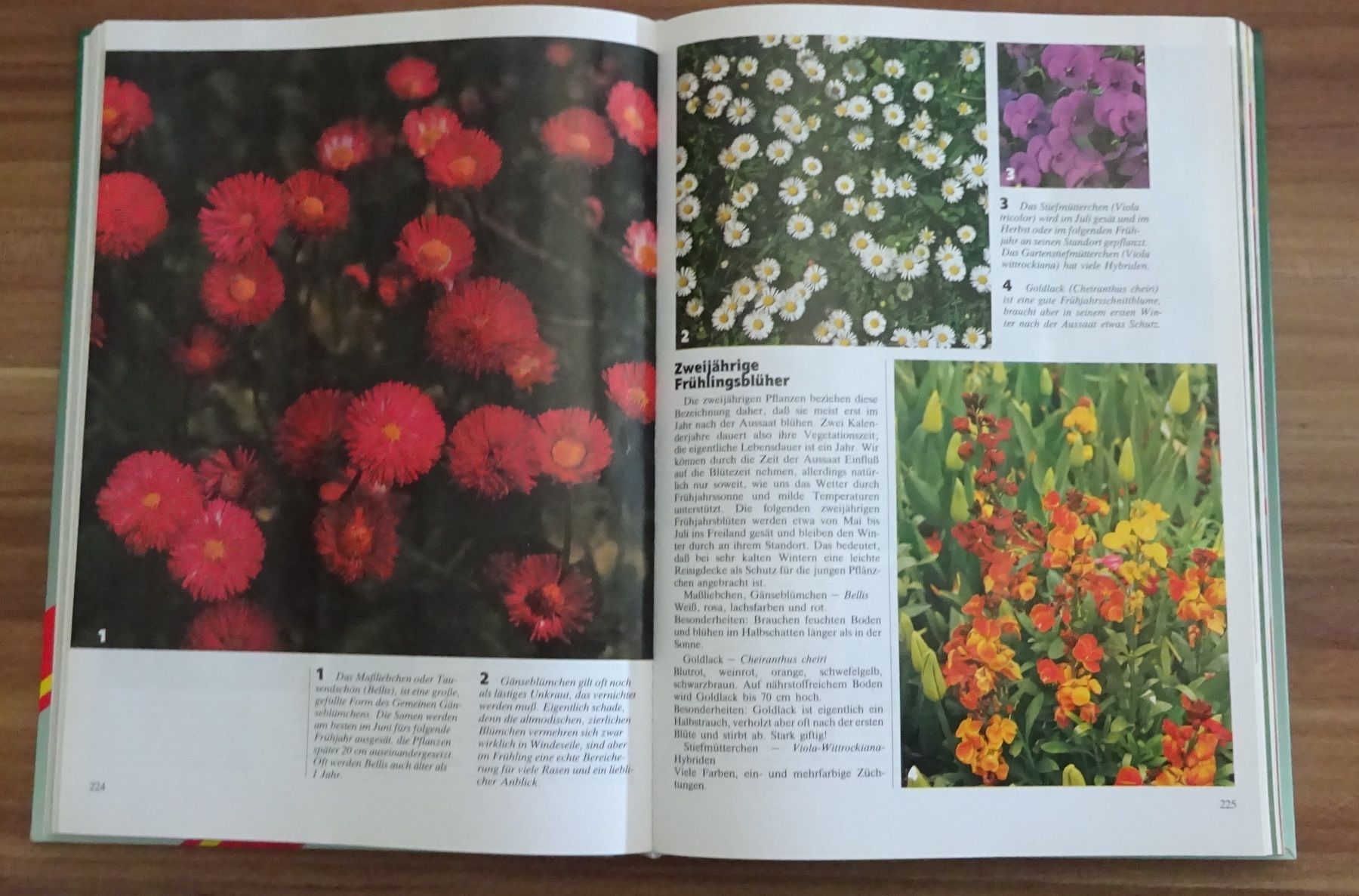 Libri: Mein Grosses Gartenbuch – Usato da Wagenhausen venduto da Kahlen 1