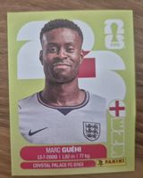 Panini WM 2016 ENG 4