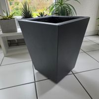Pflanzgefäss anthrazit mit Rollen - Top Zustand!