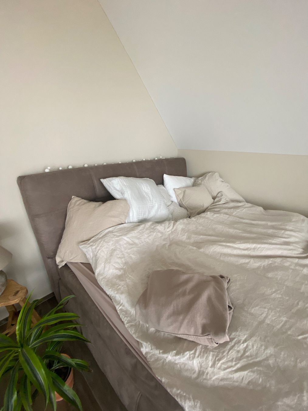 Letti: Boxspringbett (ohne kopfteil) – Usato da bonstetten venduto da nad_qgd5