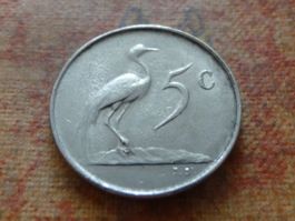 AFRIQUE DU SUD   5  Cents   1966  (P)