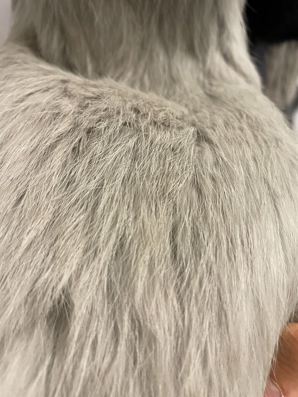 Vestes: Hasenfell Jacke / Rabbit Fur Jacket – D'occasion à Zürich par nao_6f5t 7