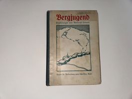 BUCH: Bergjugend, Erzählungen von Meinrad Lienert