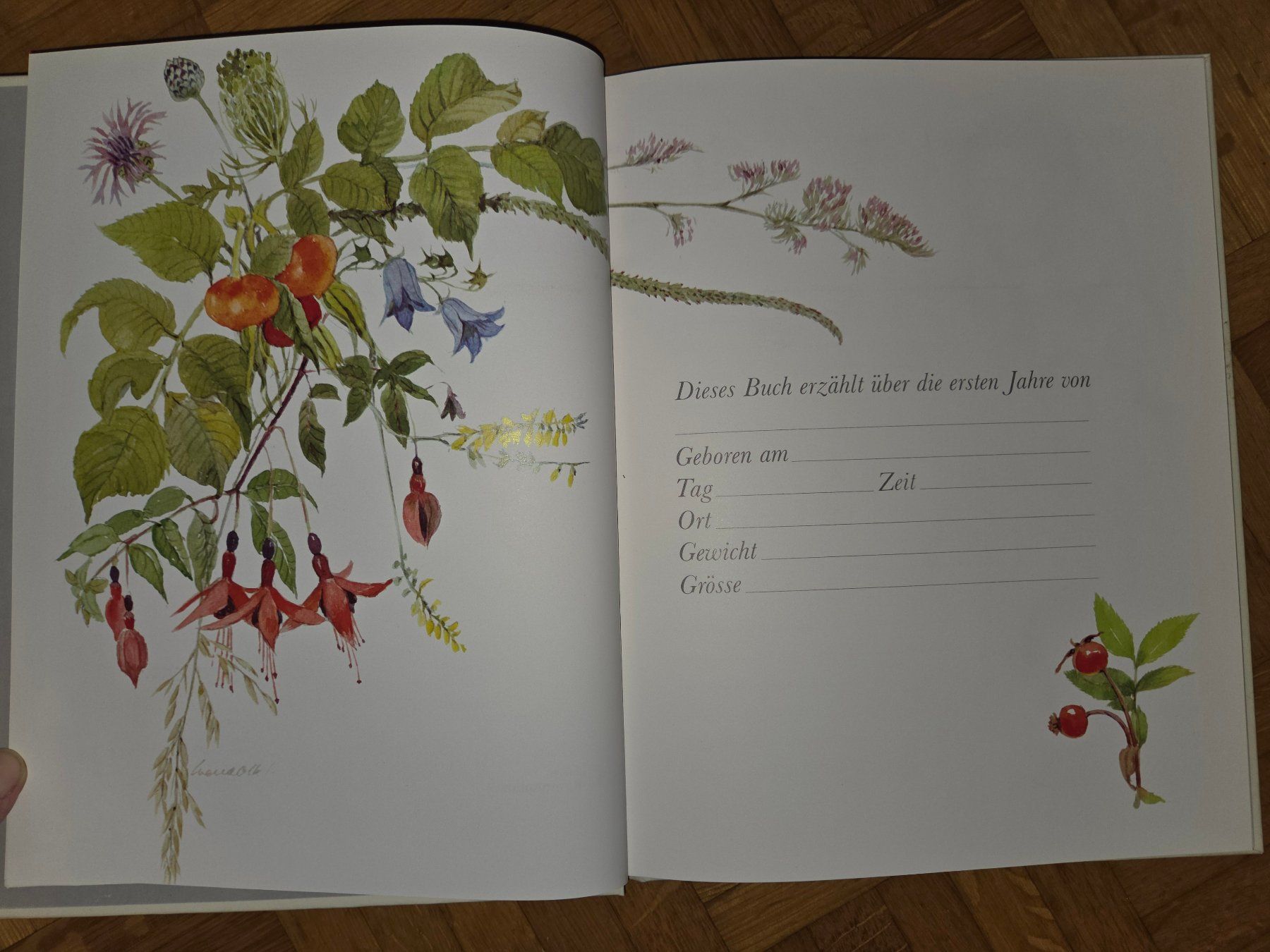 Bücher: Schwangerschaftstagebuch – Gebraucht aus Basel von Roundtrip 4