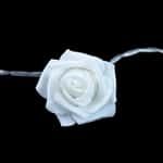 Ghirlande e barre luminose: Lichterkette Blumen Rosen NEU – Nuovo e nell'imballaggio originale da messen venduto da Loo21 2