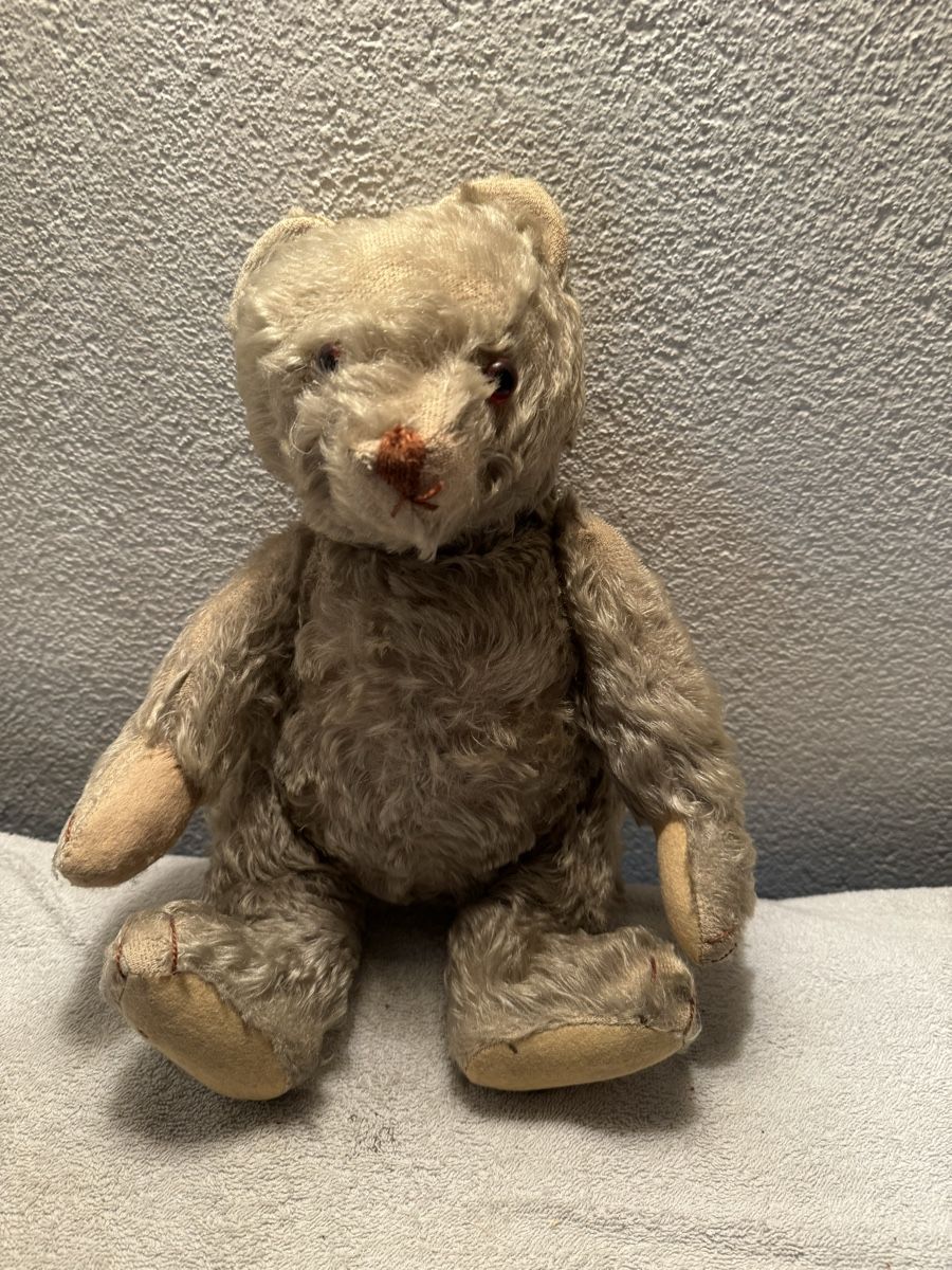 Steiff Spielzeuge: Steiff Teddy – Gebraucht aus Binningen von kal_5nsj 2