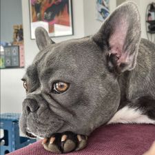 Profile image of CallMeMilka