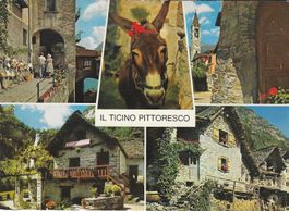 Il Ticino Pittoresco TI