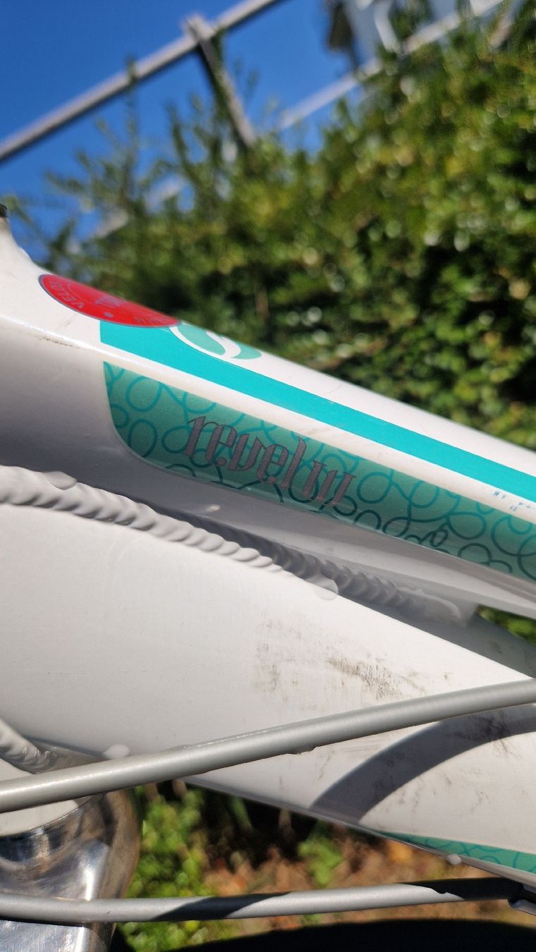Giant Velos: Giant Mountenbike revel – Gebraucht aus Lutzenberg von Pahaja 2