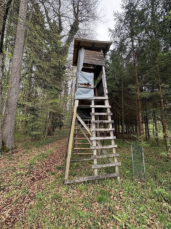 Holzartikel: Stabile Jagdkanzel Eiche – Gebraucht aus Rickenbach ZH von Pumba_500