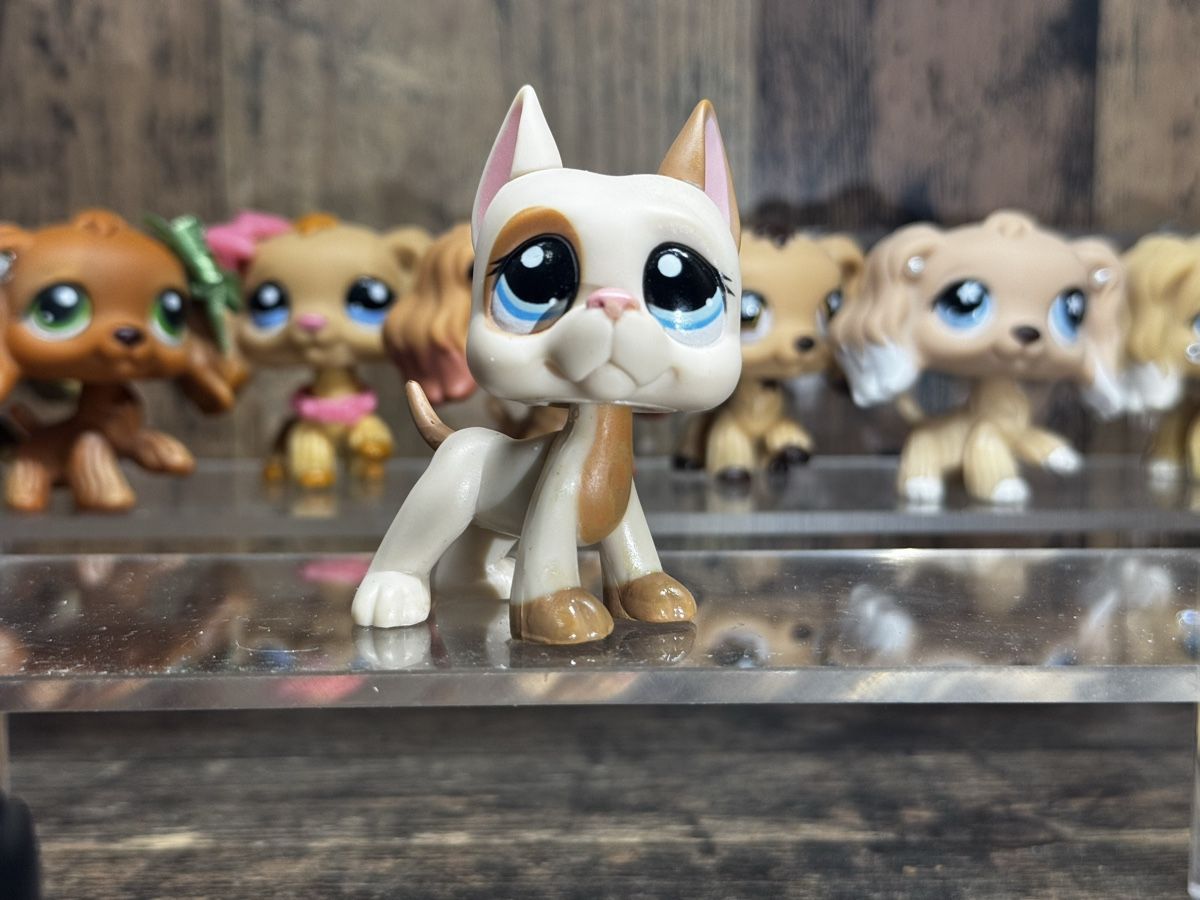 Hasbro Jouets: Littlest pet shop Great dane – D'occasion à Luzern par Maja.C