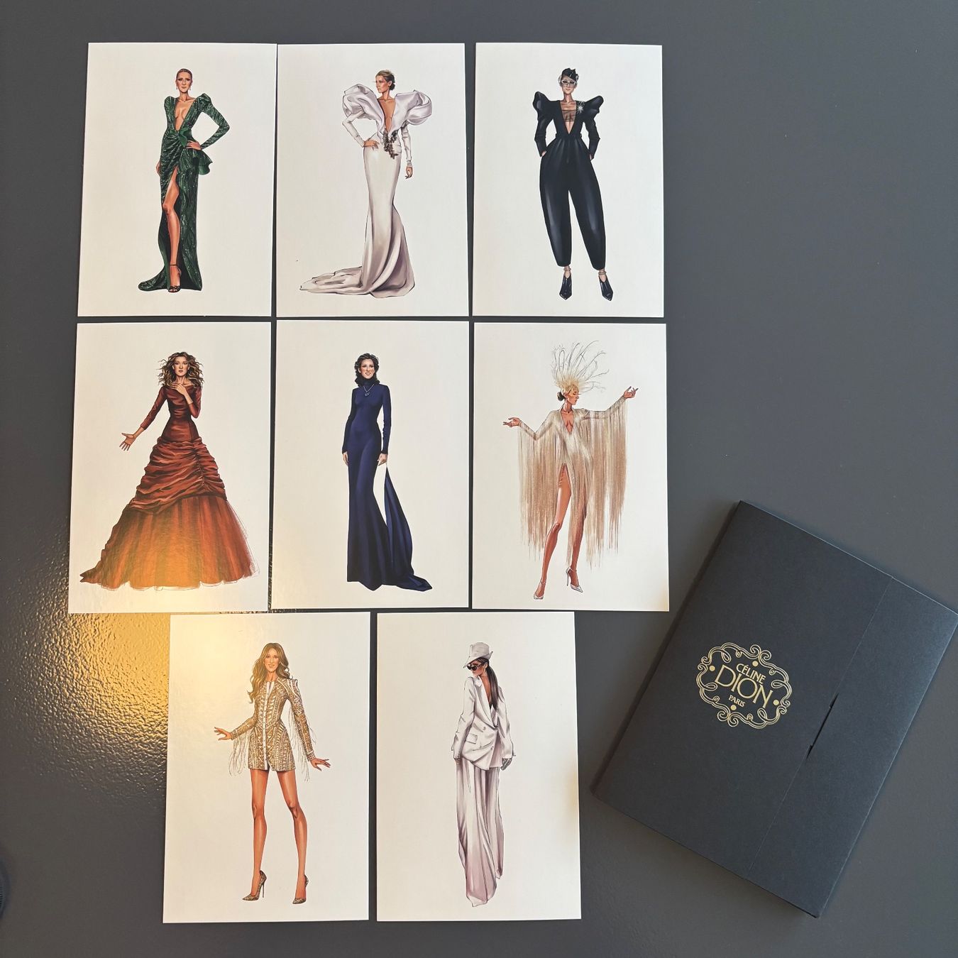 Borse: Celine Dion VIP Pack Paris 2026 – Nuovo e nell'imballaggio originale da Bolligen venduto da mae_c8ts 1