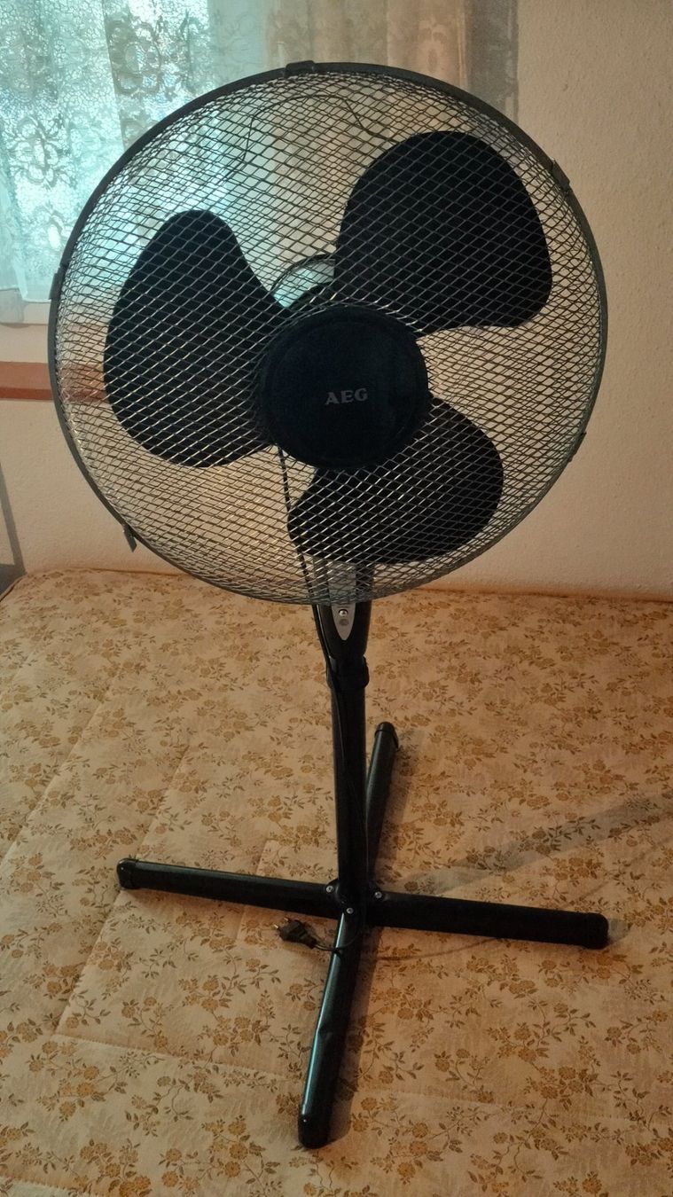 Ventilatori: Ventilator schwarz mit fernbedinung – Nuovo (secondo la descrizione) da Beringen venduto da ptt_c5nt
