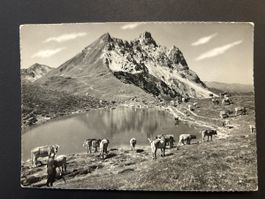 Klosters Prättigau Gotschnaseeli