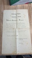 Historisches Entlassungszeugnis Gymnasium Zürich, 1860