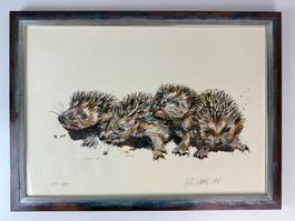 Lithographie von Fritz Hug - vier Igel