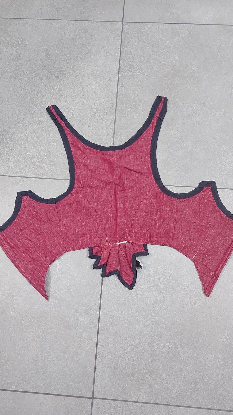 Costumes: Kinder Gotthelftracht – D'occasion à Schwarzenegg par babale 3