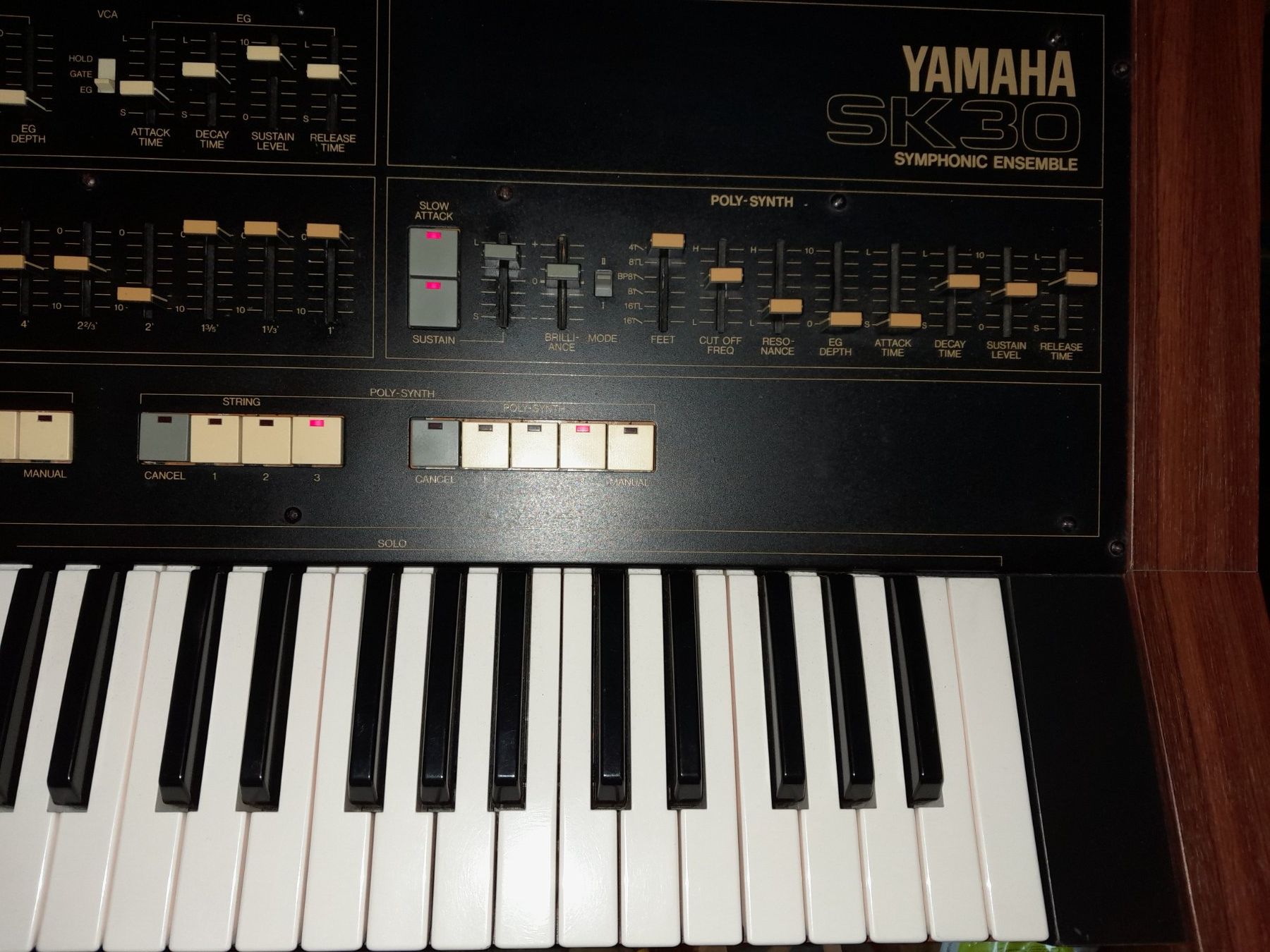 Yamaha Musikinstrumente: YAMAHA SK30 Symphonic Ensemble – Defekt aus Vevey von Aveelu 3