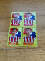 Panini PAR 6,8,12,16