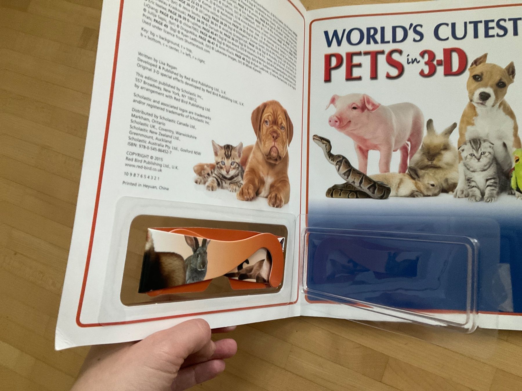 Bücher: English Books Animals – Gebraucht aus Winterthur von aionila 2