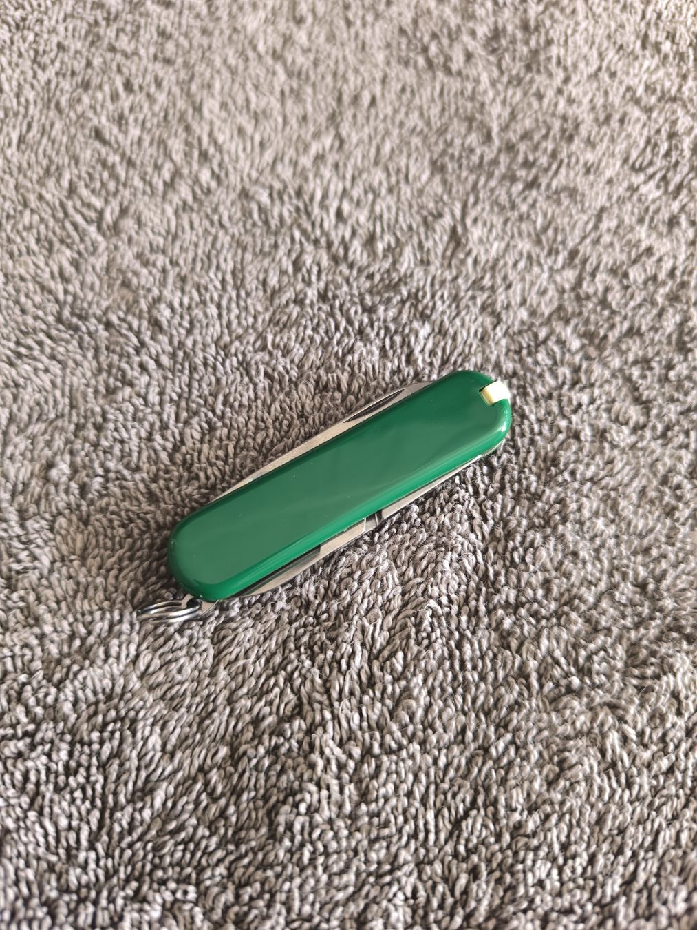 Victorinox Coltelli tascabile: Victorinox Sackmesser Tierpark Goldau – Nuovo (secondo la descrizione) da Pfäffikon SZ venduto da nidisale 2