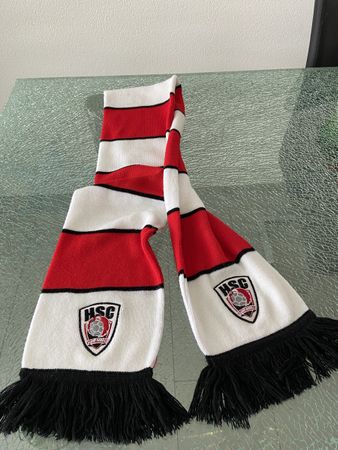 neuer HSC Suhr Aarau Fanschal