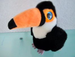 OISEAU DU PARADIS