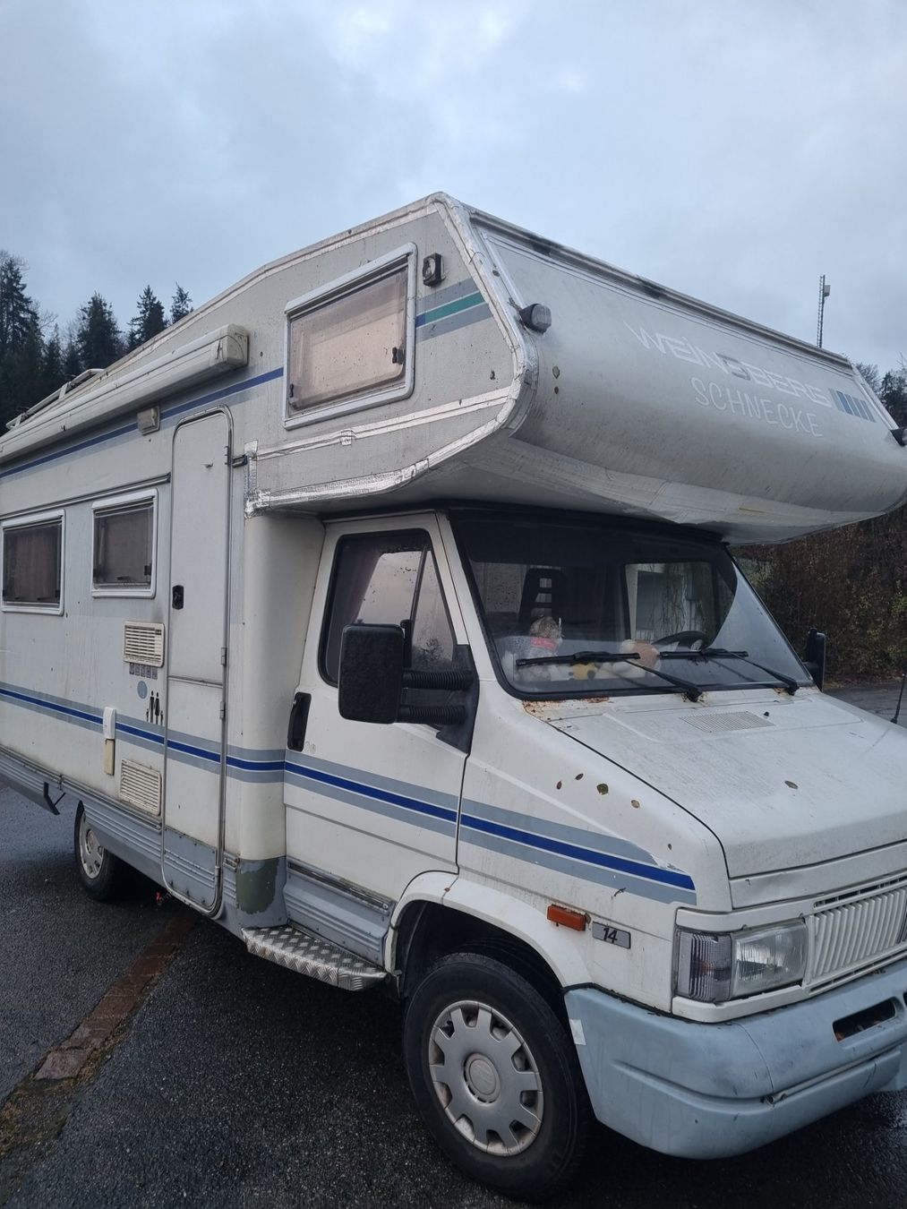 Fiat Véhicules de camping: fiat Ducato 290 - letze MFK 7.2024 – Défectueux à Wädenswil par dubida 1