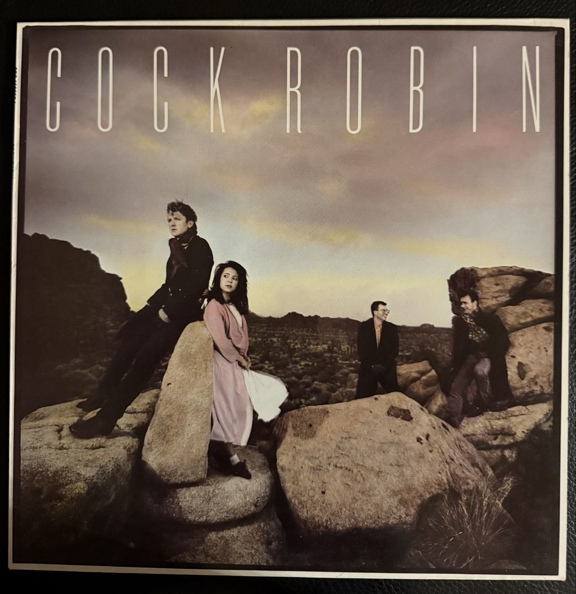Dischi in vinile: Cock Robin LP Schallplatte - Vinyl – Usato da Goldach venduto da Messerguru