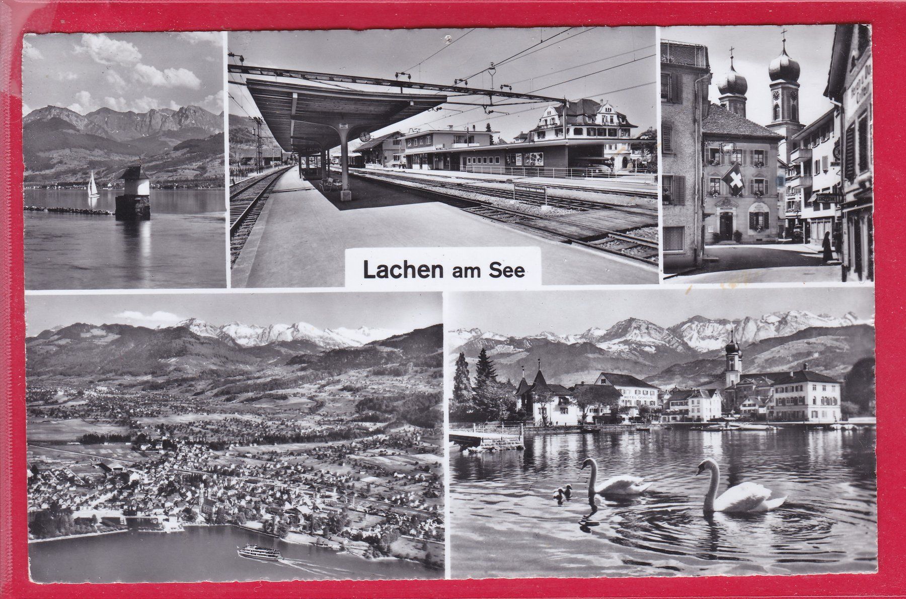Cartoline postali: LACHEN AM SEE, 28.8.1956 – Usato da Oberrieden venduto da Gebirgsstelze