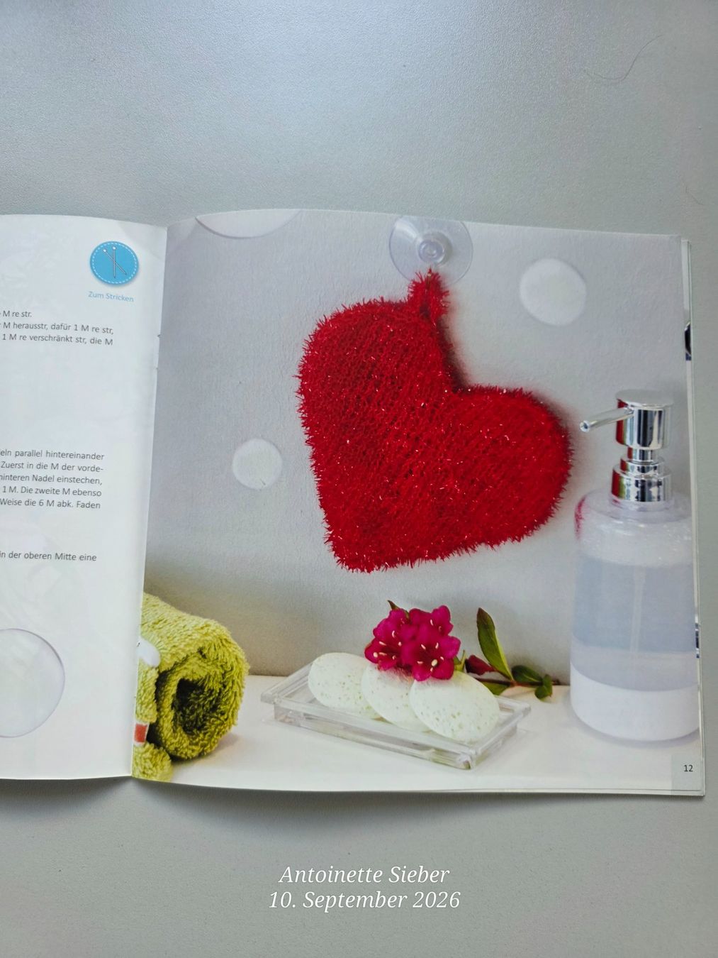 Libri: Lustiges Schrubben mit selbstgesticktem... – Nuovo (secondo la descrizione) da Salez venduto da Bellas-Huesli10 1