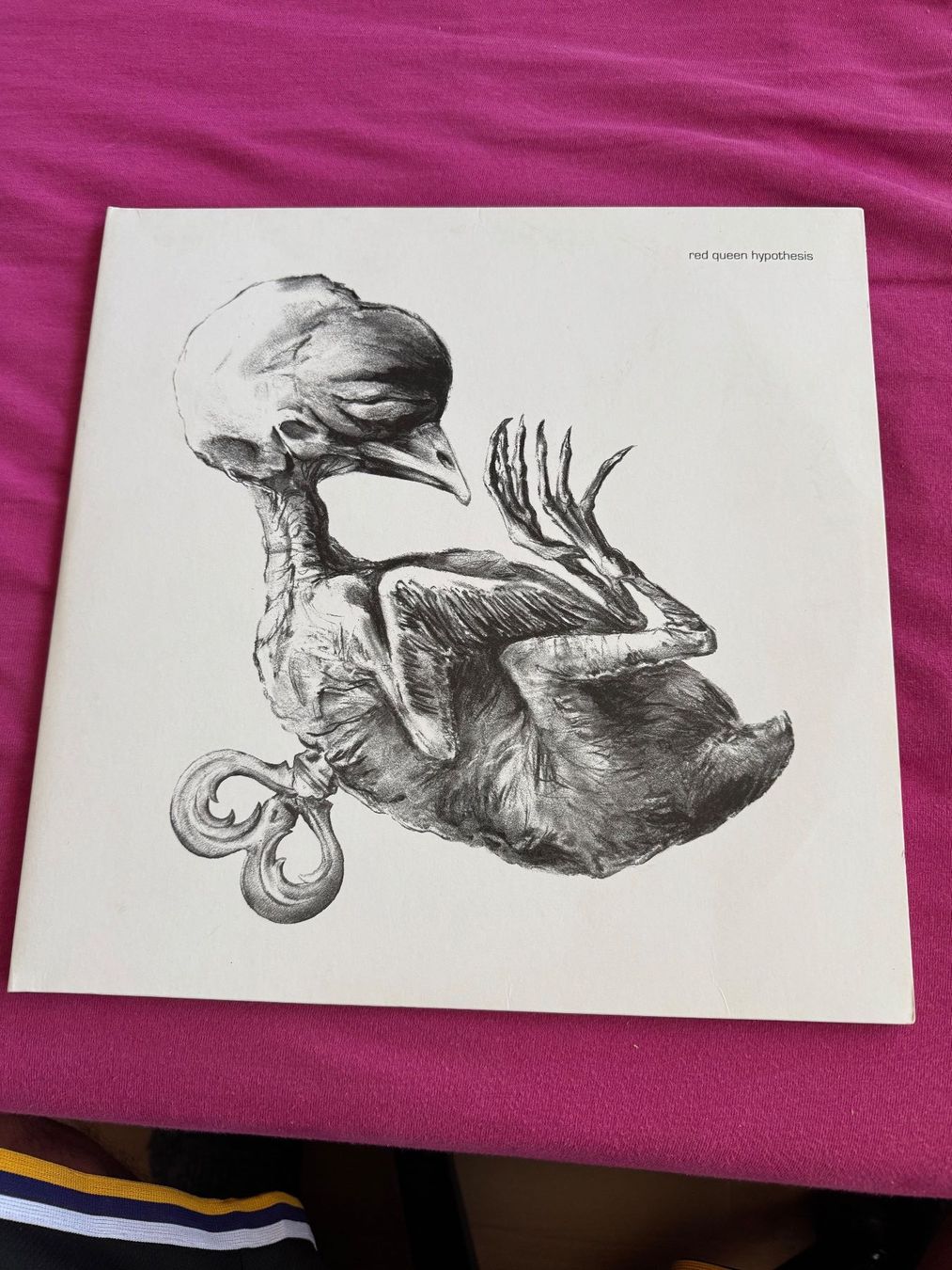 Dischi in vinile: Vinyle Macadam Dive Red Queen Hypothesis occasion – Usato da Delémont venduto da pinguino6