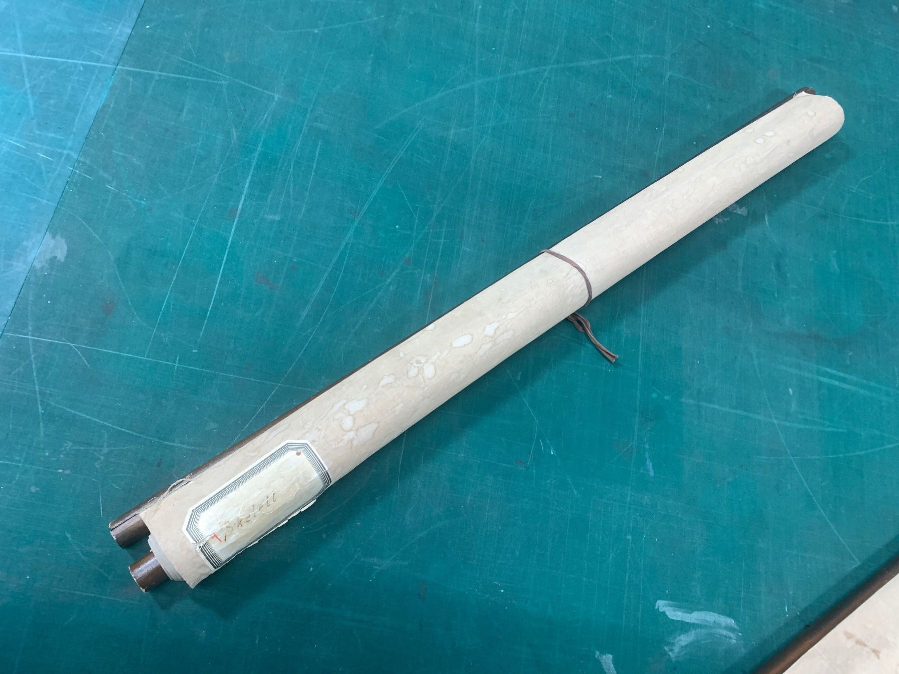 Foto & Immagini: Anatomisches Tabellenwerk Skelett – Usato da Ottikon venduto da Hogdog 8