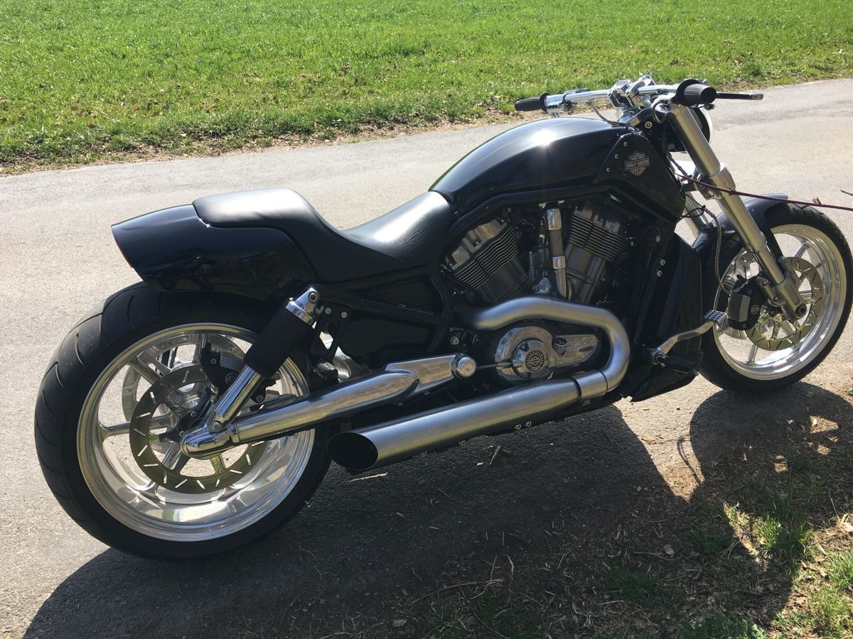 Harley-Davidson Chopper: Harley Davidson V-Rod Muscle – Usato da Steinen venduto da peter_a_b 2